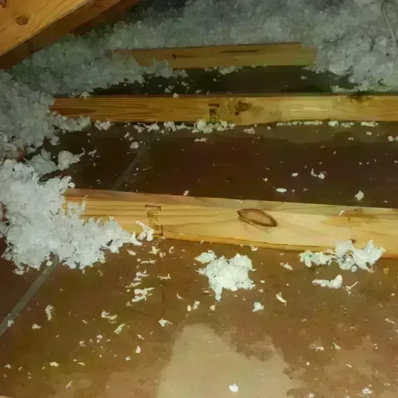 Attic Water Damage in Smithville, TX